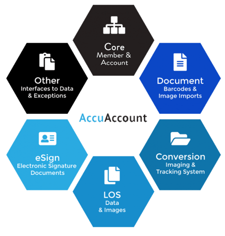 AccuAccount-web